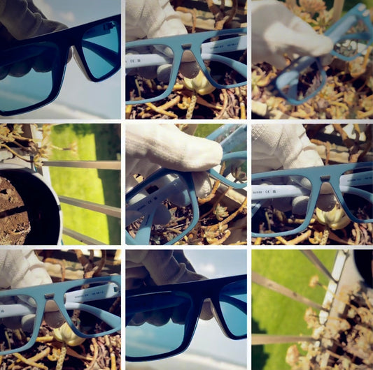 Carolina Baby Blue